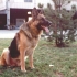 alf-03