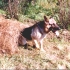 alf-09